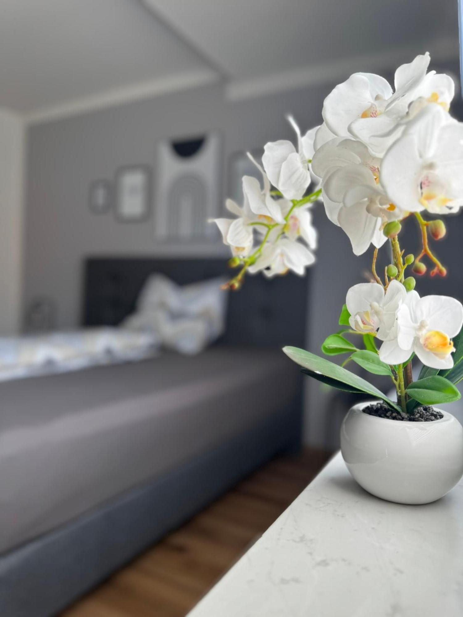 Ferienhaus Hunsrueckliebe Liederbach  ภายนอก รูปภาพ