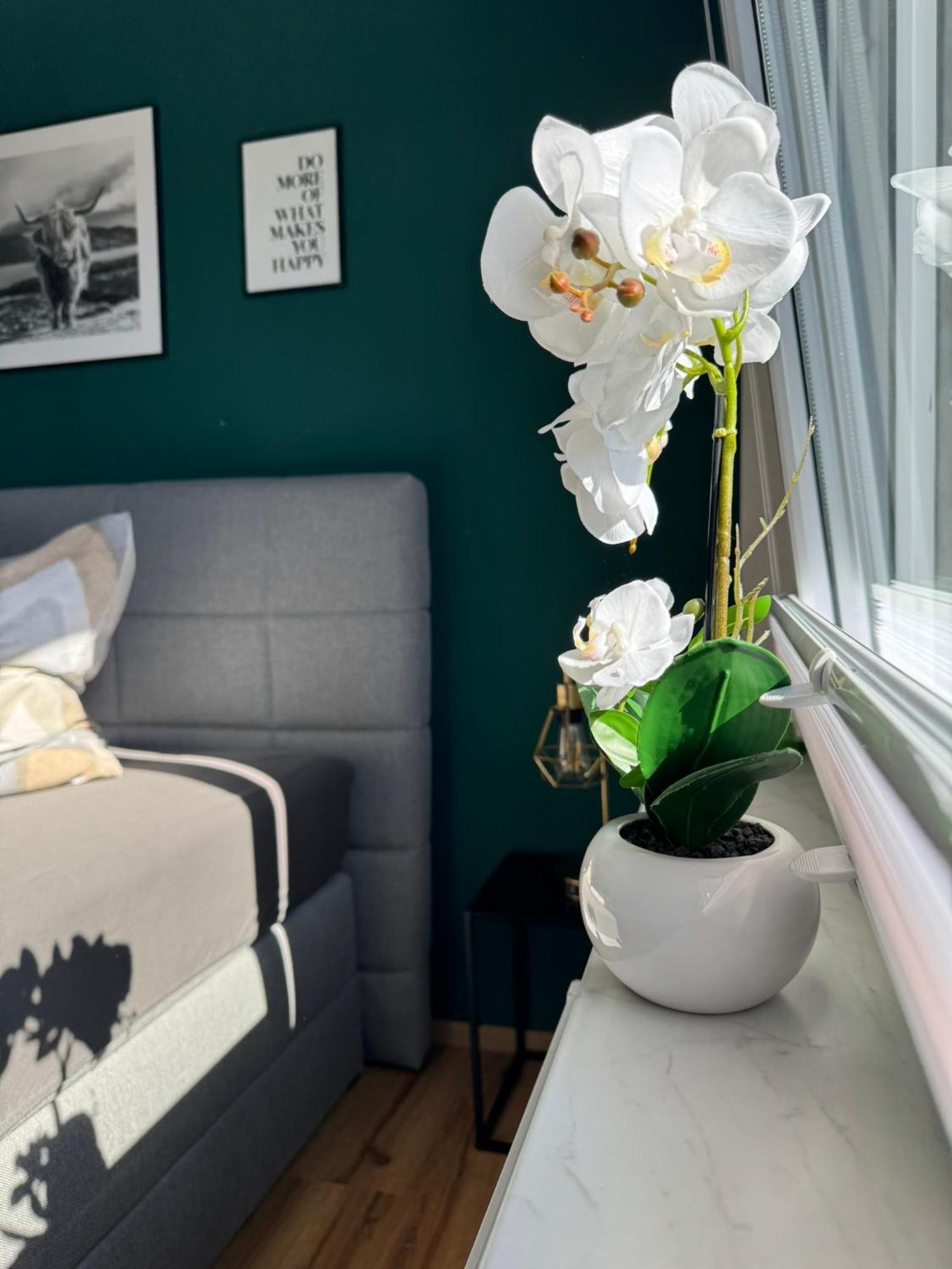 Ferienhaus Hunsrueckliebe Liederbach  ภายนอก รูปภาพ